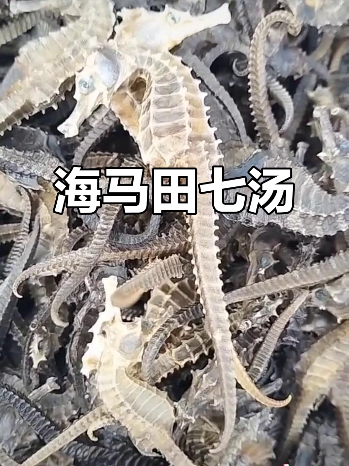 海马田七汤：千年流传的增高秘方，孩子必试！