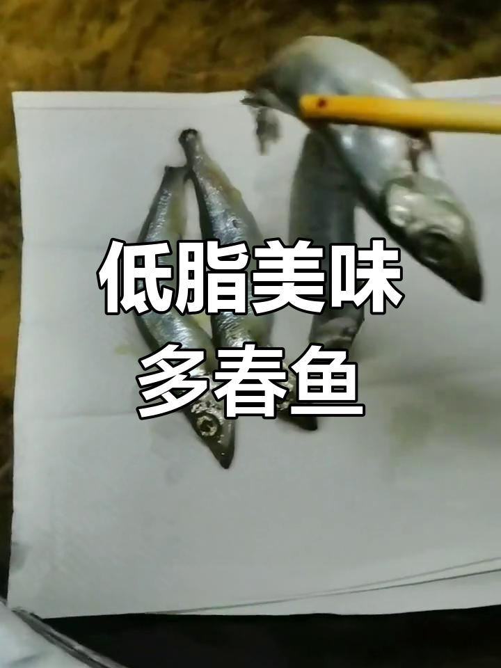 香炸多春鱼,鲜美又低脂