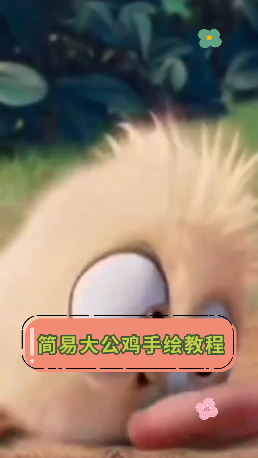 简易大公鸡手绘教程