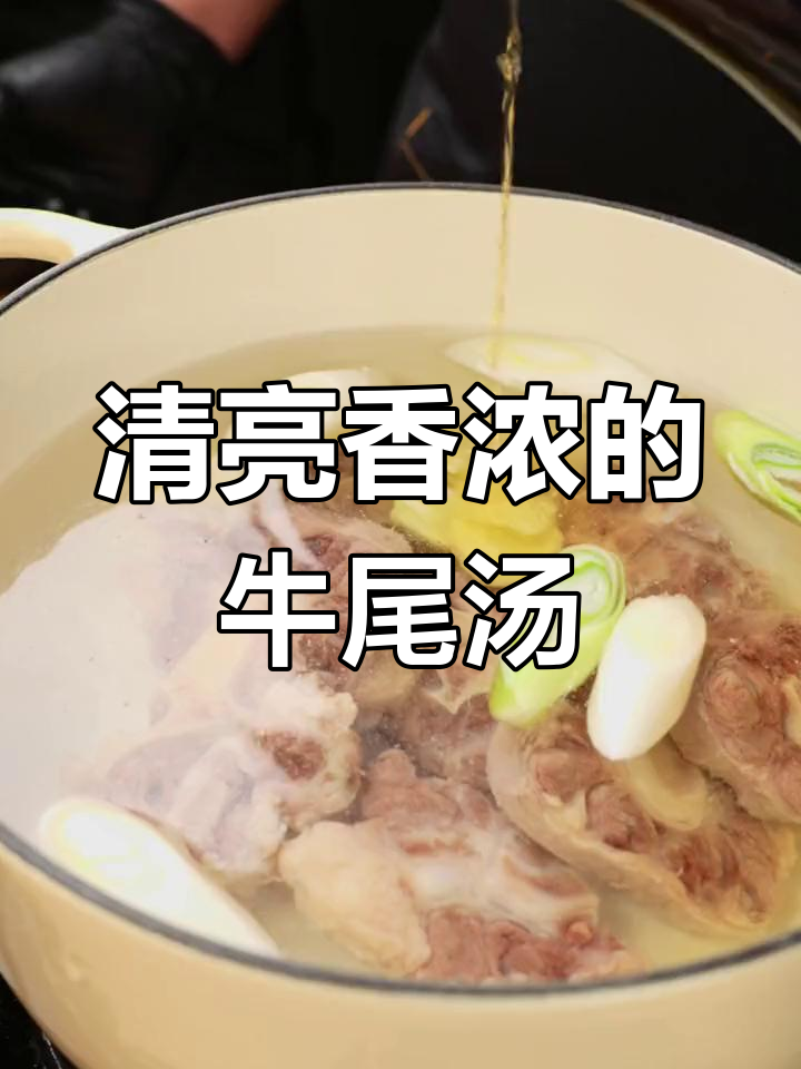 牛尾汤炖出满满胶原蛋白,萝卜枸杞点缀更美味