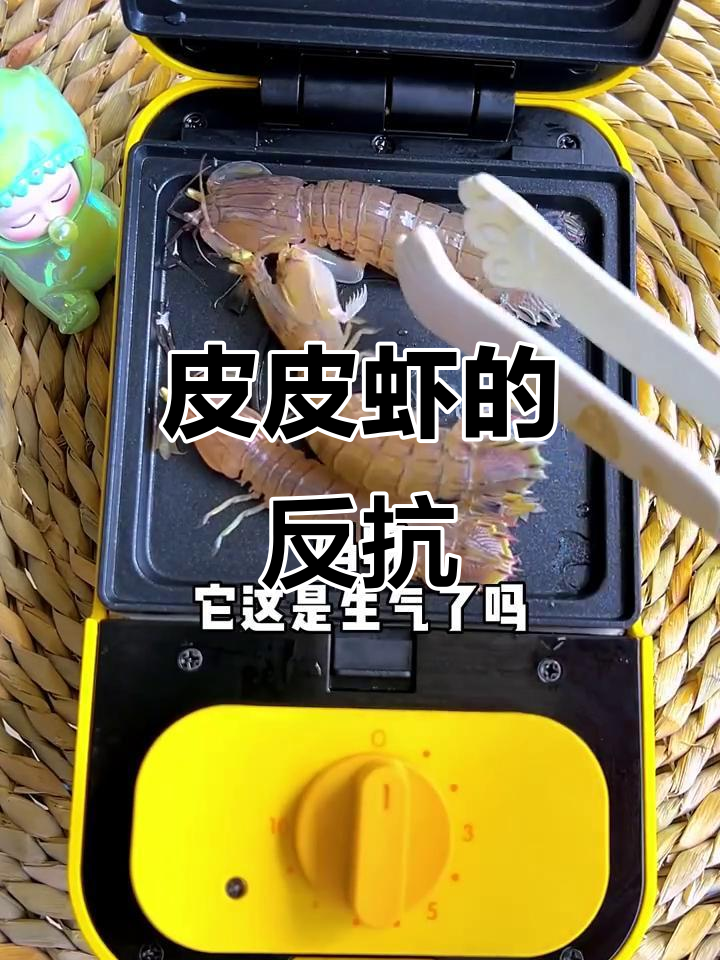 皮皮虾逃跑被抓,最后香迷糊了!