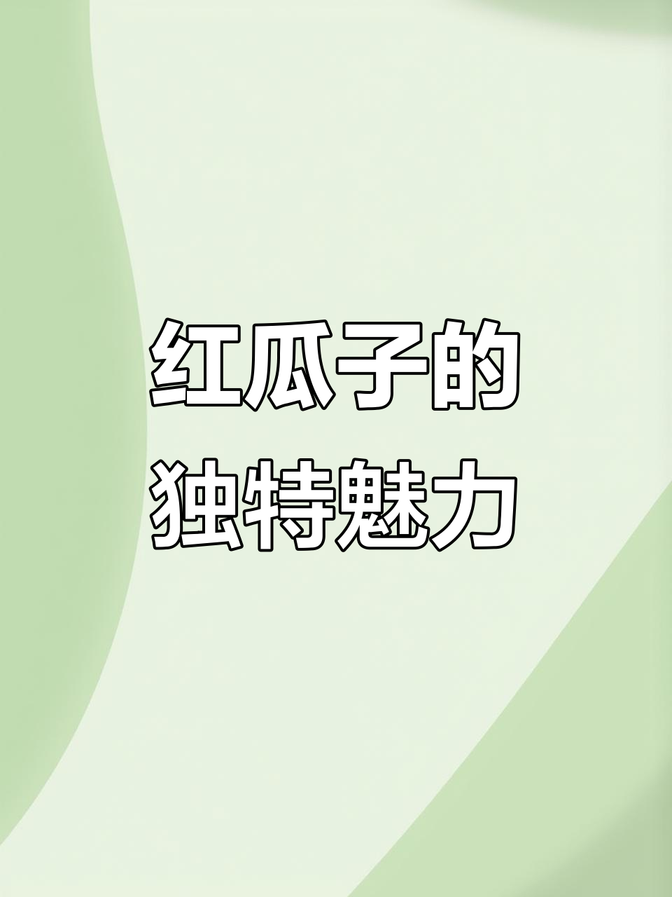 新疆红瓜子,营养丰富又好吃!