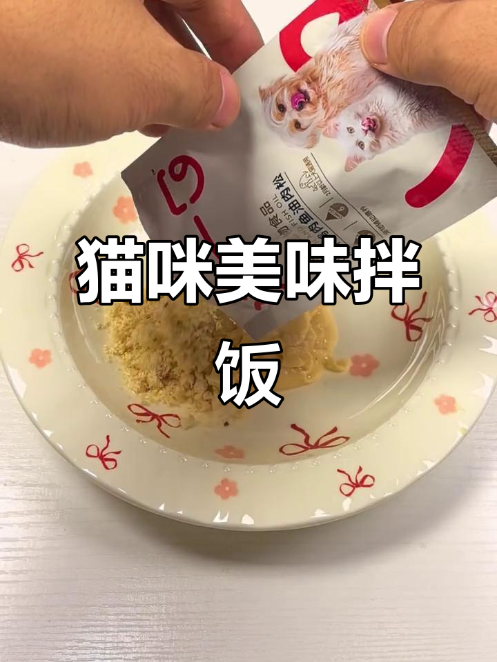 小猫的鱼油肉松拌饭,营养满满!