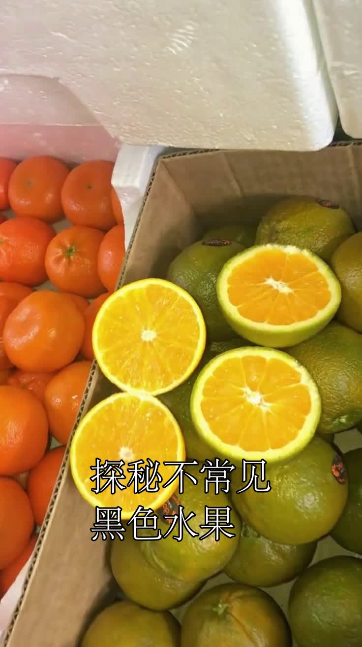 探秘不常见的黑色水果