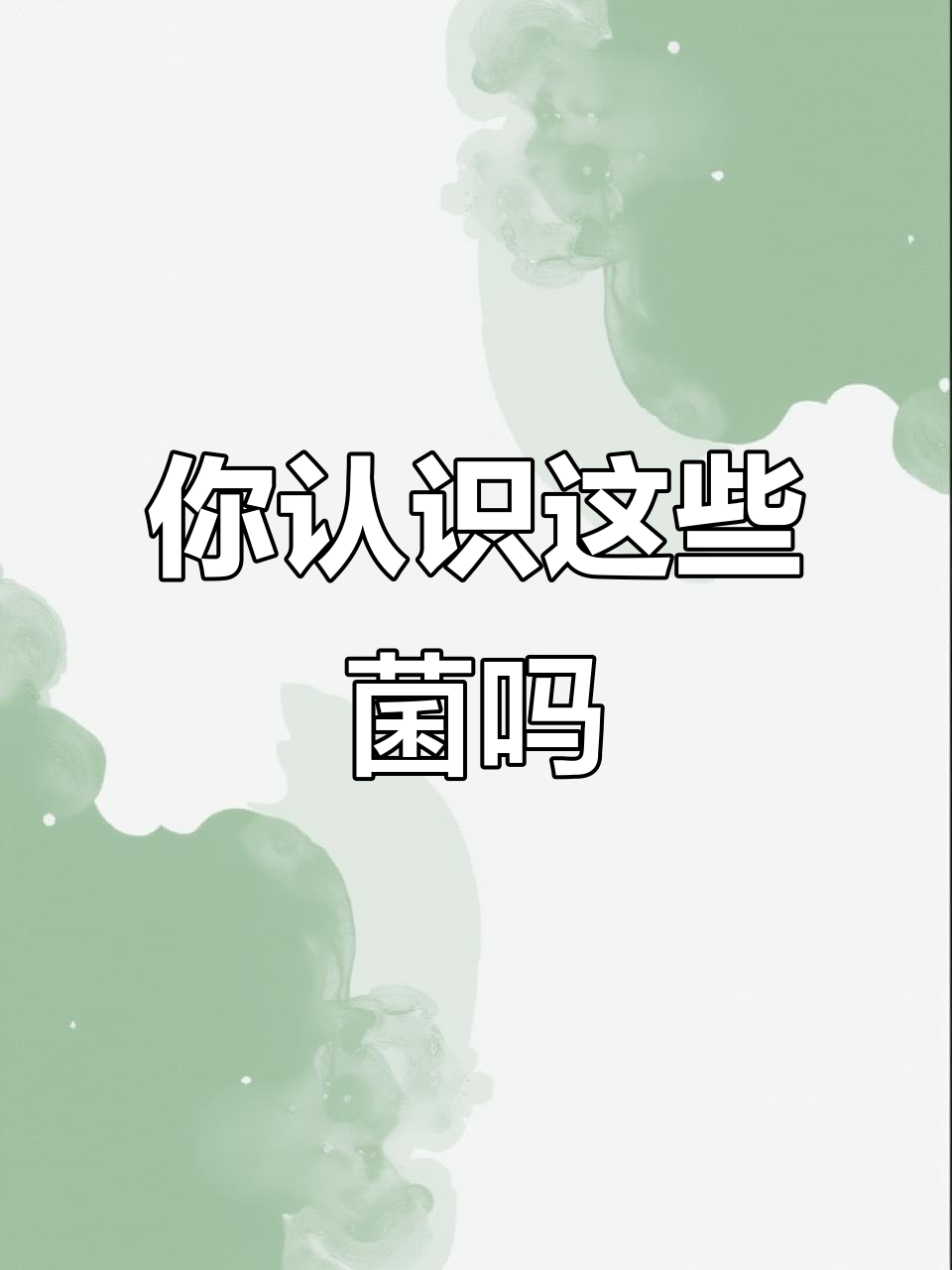 20种常见菌类,哪些能吃?哪些有毒?