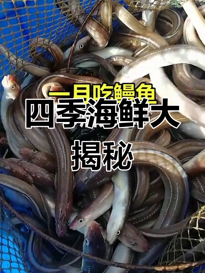 舟山海鲜必吃清单,四季美味推荐