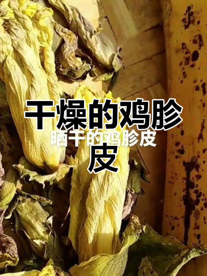 晒干的鸡胗皮,竟然如此神奇