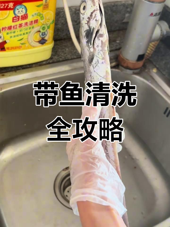 带鱼清理技巧大揭秘,轻松去除内脏和油膜