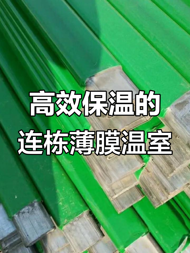 温室大棚:竹结构与钢结构的完美结合,打造反季节蔬菜天堂