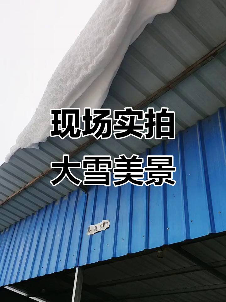 大雪中的美丽家园,鸡鸭鹅与燕窝般的风景