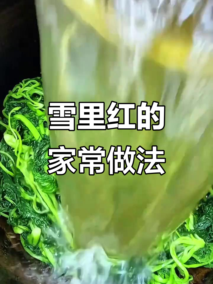 东北雪里红,炖豆腐、土豆皆美味,做饺子馅更是绝配!