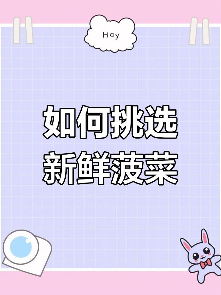 买菠菜时注意区分“圆叶”和“尖叶”,新鲜与否一看便知