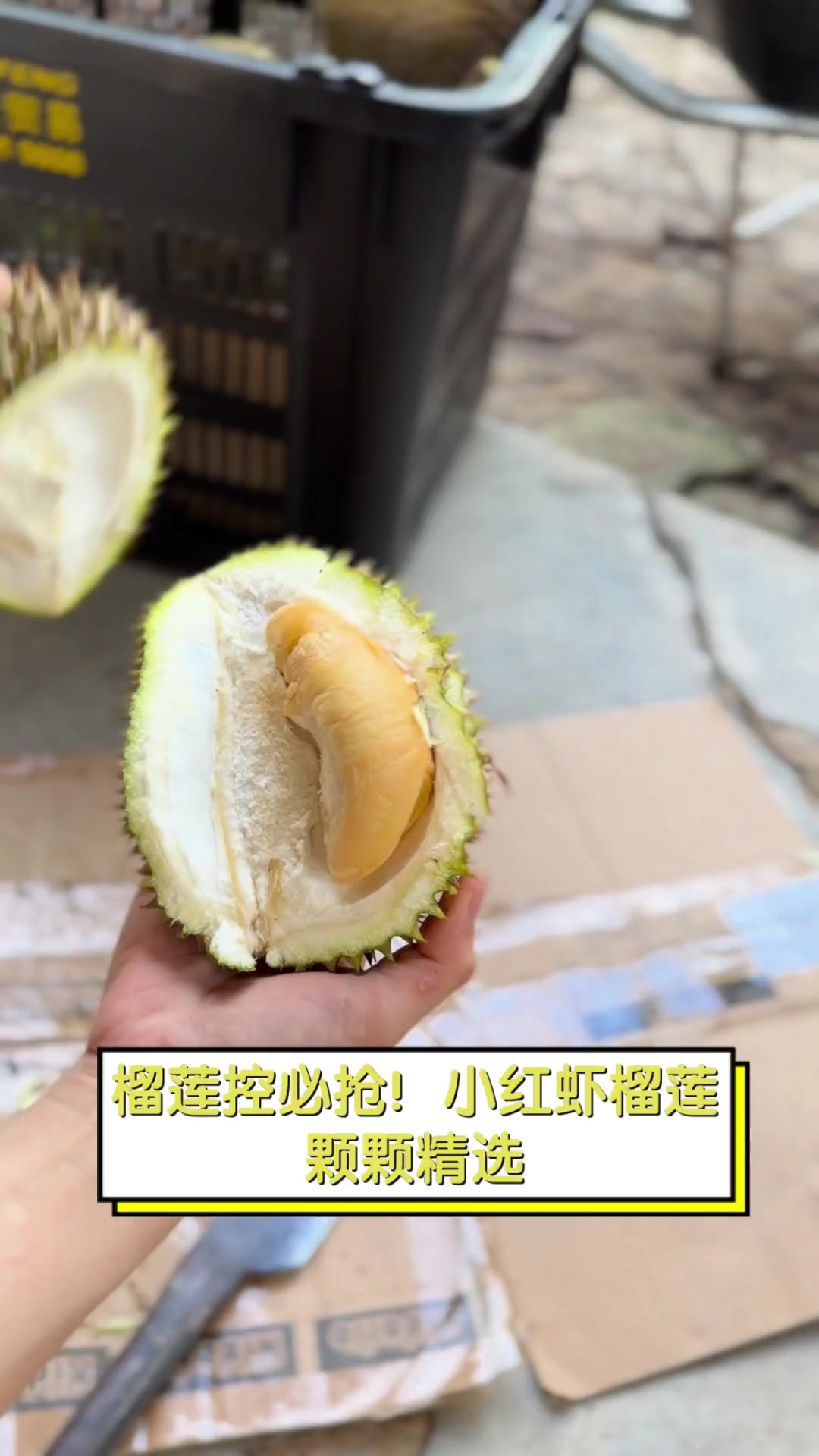 榴莲控必抢!小红虾榴莲,颗颗精选