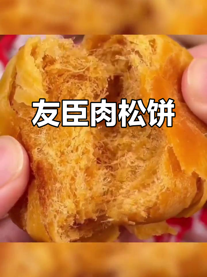友臣肉松饼:皮薄馅足,酥脆美味,早餐下午茶必备