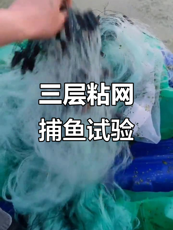 绿丝白网三层粘,捕鱼笼里藏大草鲤