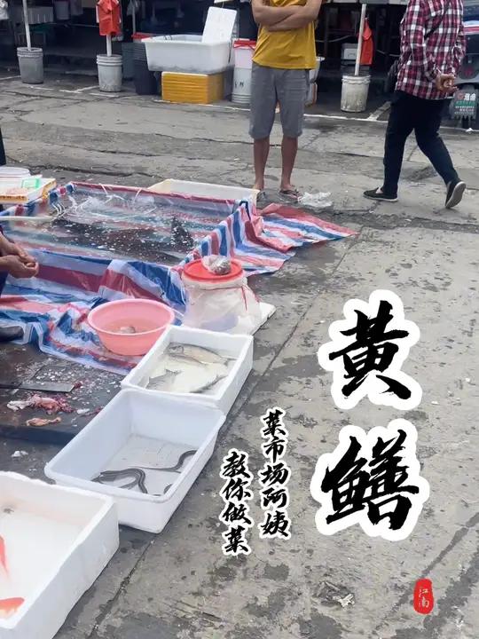 同学们,黄鳝都吃过吗?怎么做最好吃呢?+ 菜市场阿姨教你做菜 我的家乡美食名片 一口吃掉这
