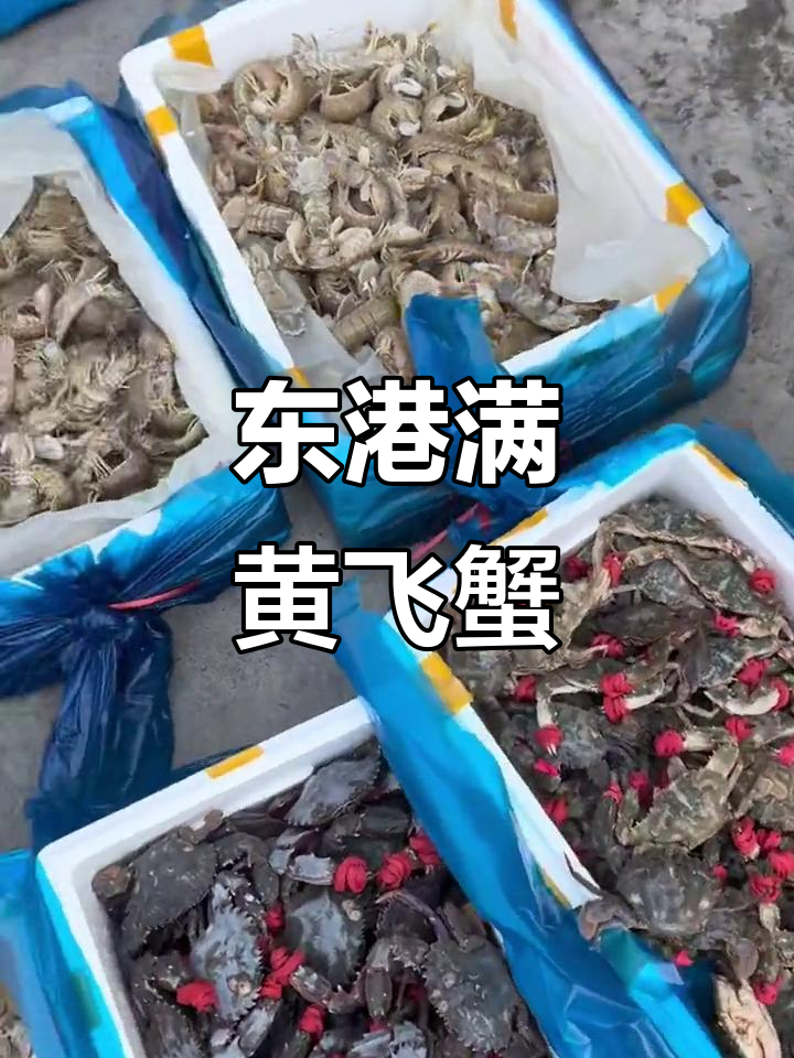 东港飞蟹与罗氏虾大丰收，鲜活海鲜一网打尽