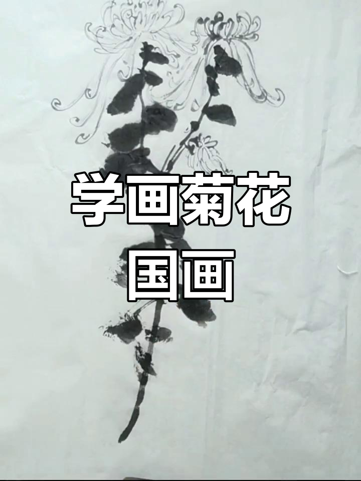 画菊花国画的技巧与诗意,掌握这些让作品更生动