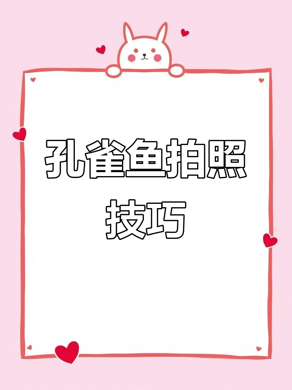 孔雀鱼如何拍出惊艳照片?秘诀竟与灯光无关