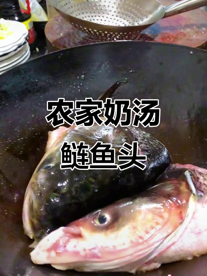 农家奶汤鲢鱼头，炖出鲜美如云汤