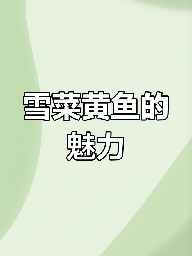 雪菜黄鱼,浙闽经典美味,深受喜爱!