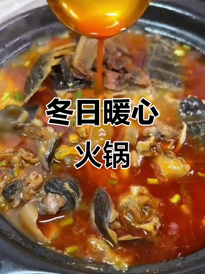 冬季必备,荆州甲鱼火锅,软糯香浓,回味无穷!