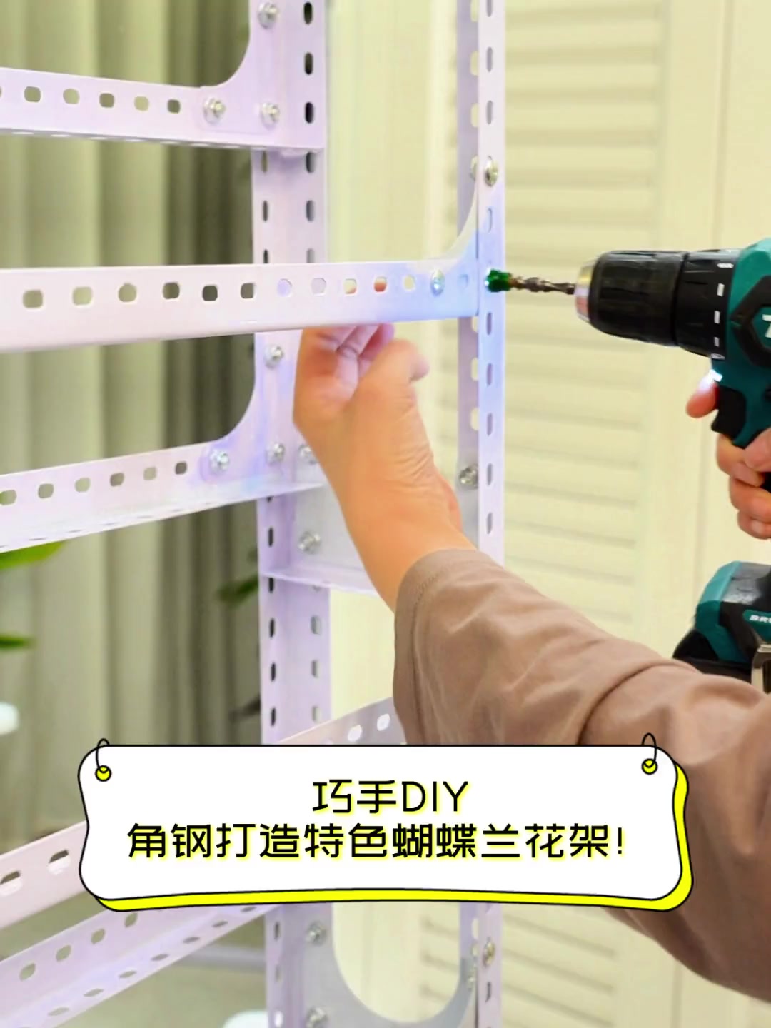 巧手DIY,角钢打造特色蝴蝶兰花架!