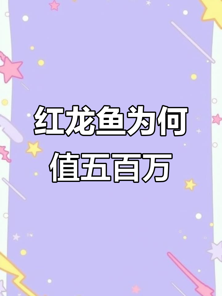 为什么一条平平无奇的红龙鱼能卖五百万?背后真相大揭秘