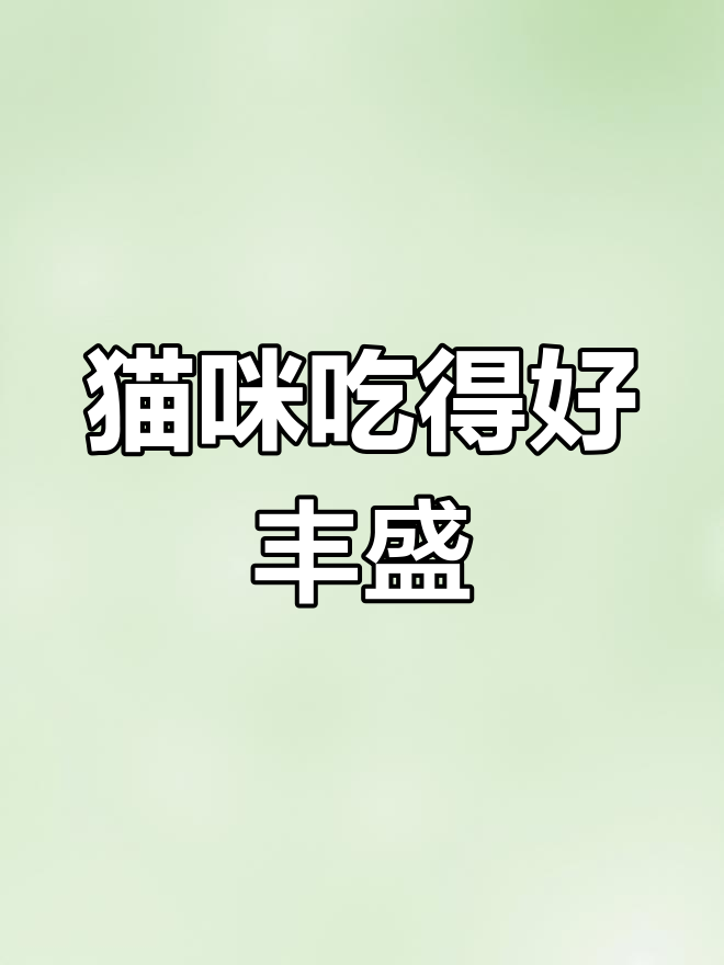 流浪猫的“豪华晚餐”,鸡肉、鸡腿样样有,真让人羡慕