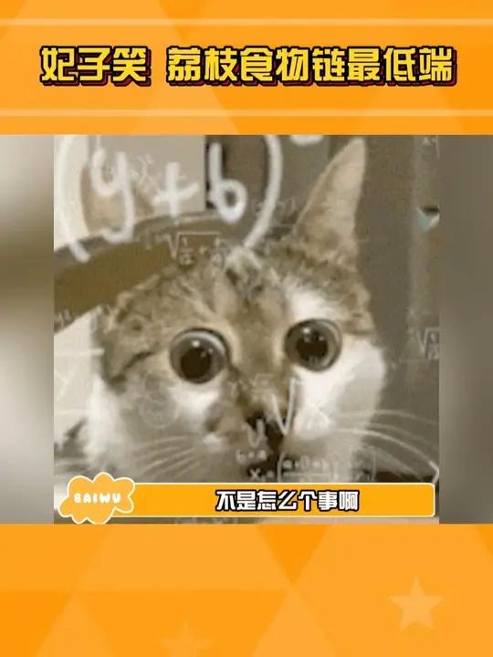 今天我一定吃到 糯米糍荔枝!