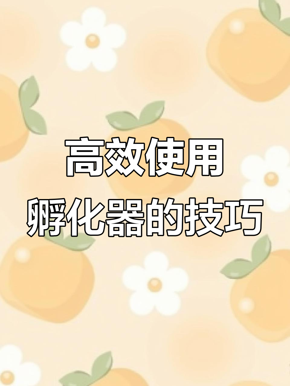 如何用孵化器快速提升学习效率,掌握热门技能