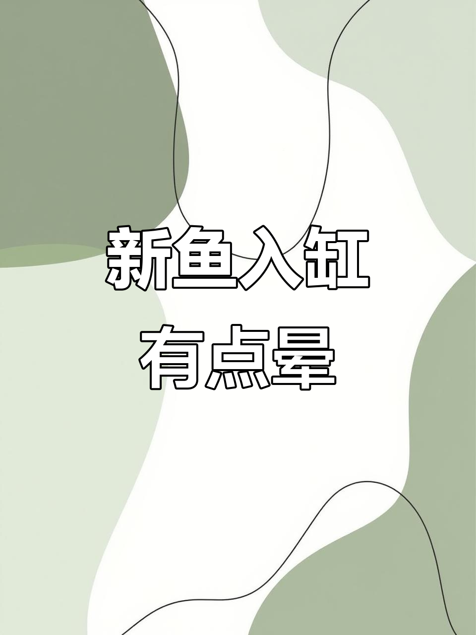 七彩神仙鱼入缸,2条糖蓝蛇趴着不动,晕车感十足