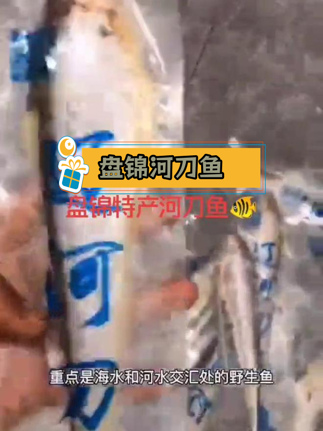盘锦辽河刀鱼:海水与河水交汇处的野生美味