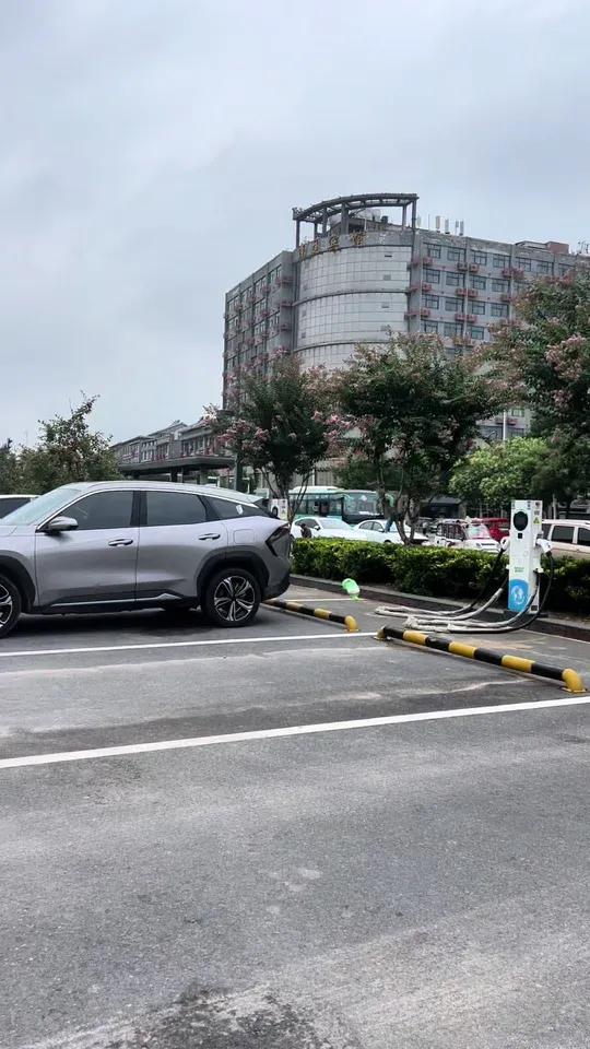 罗氏虾在淘小胖超市只要49.9一斤,我得赶紧去 罗氏虾 淘小胖超市 吃虾吃虾 郑州腿哥 广