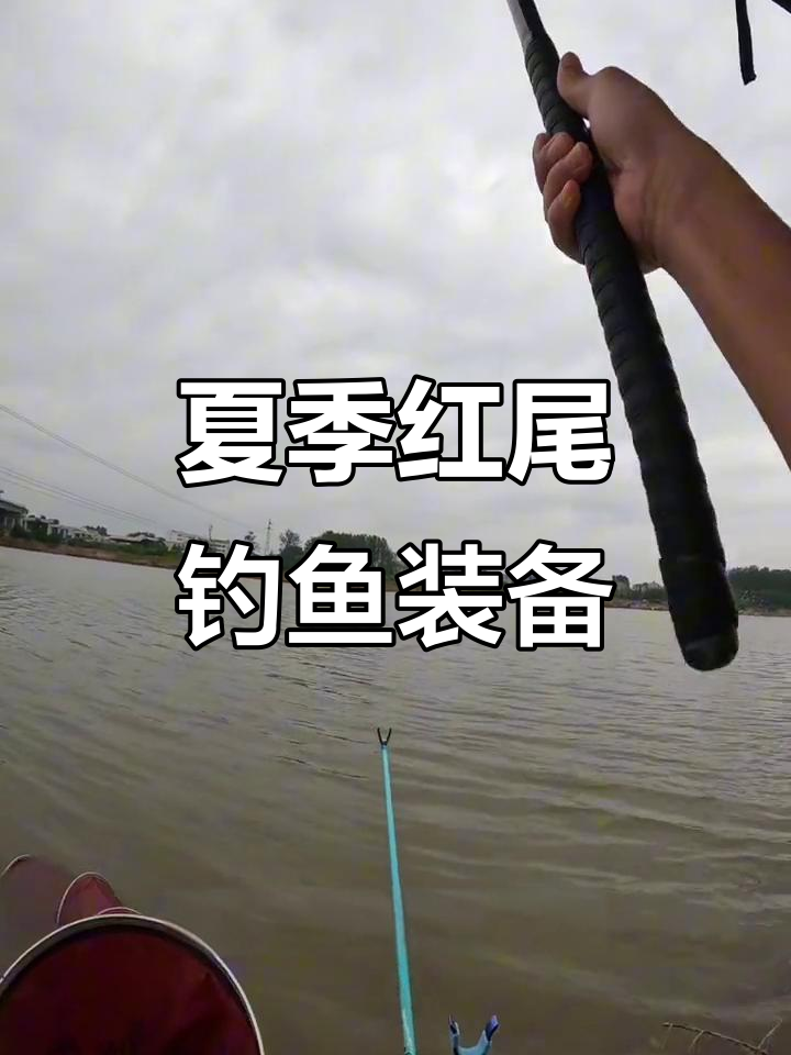 红尾鱼凶猛难挡,夏日钓竿选择与技巧全揭秘