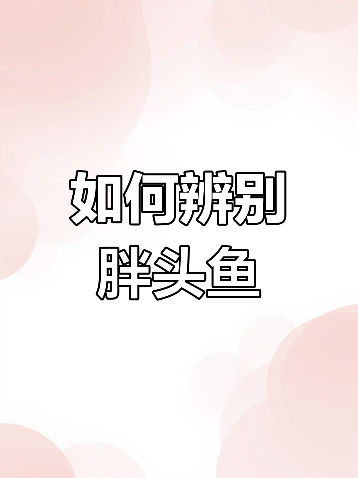 胖头鱼与白鲢的区别解析