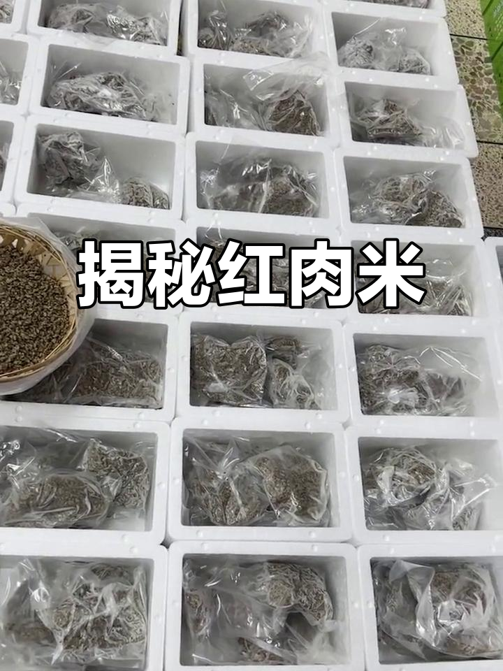 红肉米的独特魅力,探秘美味背后的秘密