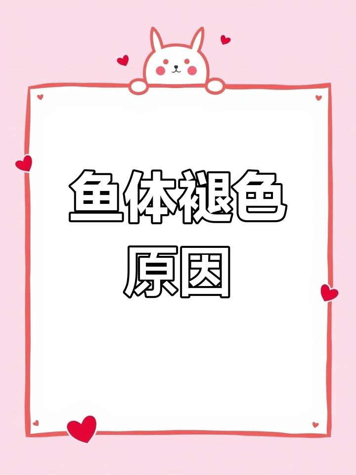 鱼儿颜色变淡的原因解析