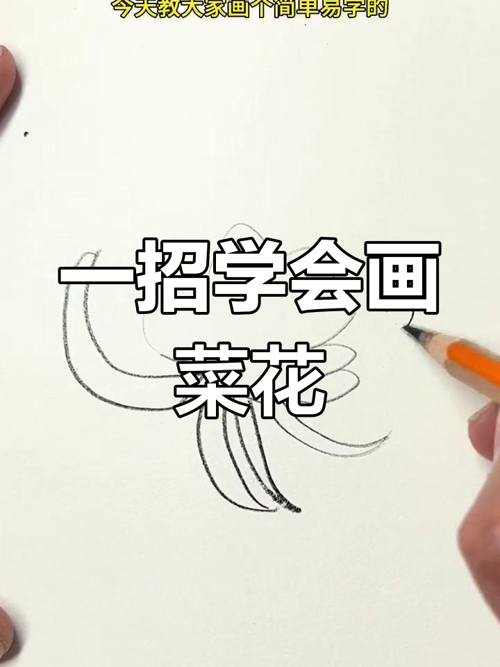 轻松画出简单菜花,掌握明暗关系