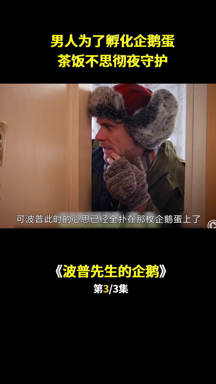 波普先生的企鹅:男人收到企鹅快递,开启爆笑搞怪生活