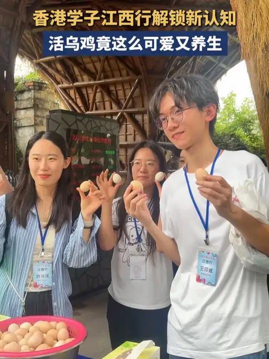 香港学生江西行解锁新认知,活乌鸡竟这么可爱又养生!
