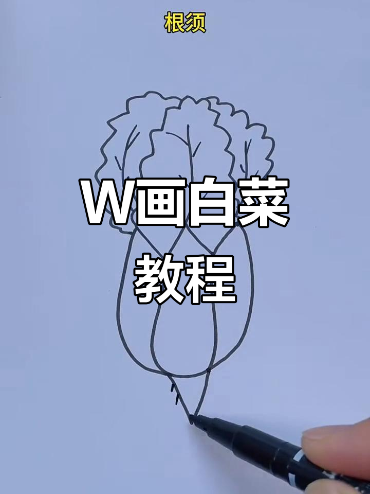 用字母W轻松画出可爱小白菜,简单又好玩