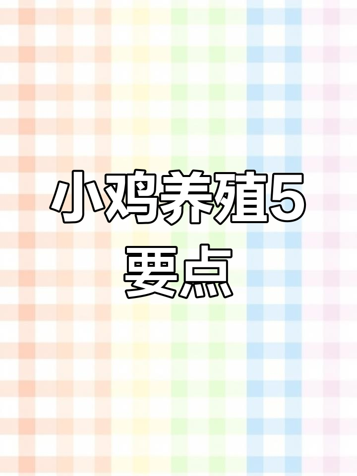 如何正确饲养刚出壳的小鸡