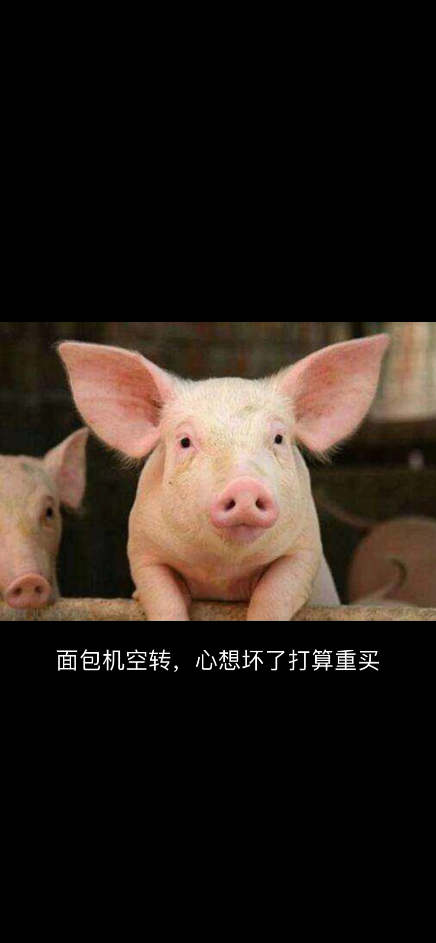 东菱面包机,买了7年了,自己修好