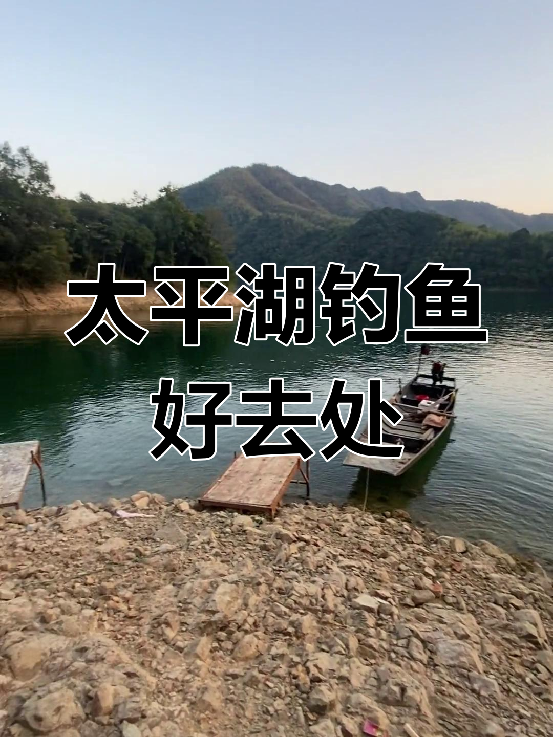 太平湖钓鱼新钓位,竹丝藏鱼处等你来挑战