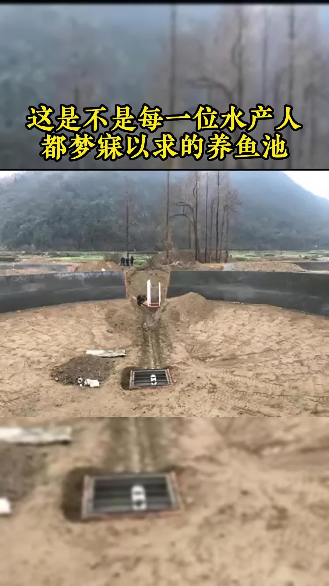 这是不是每一位水产人都梦寐以求的养鱼池!水产养殖 养鱼 农业