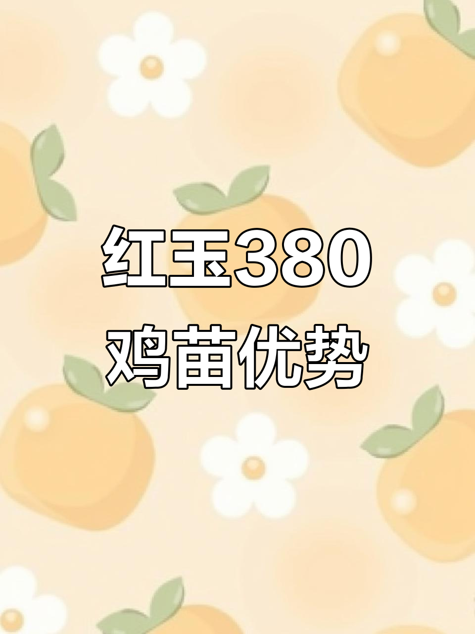 红玉380鸡苗:圈养散养皆宜,长势快肉质鲜嫩