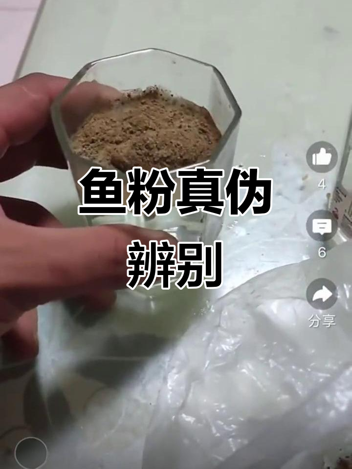 鱼粉价格背后的秘密:真假难辨,低价高蛋白靠谱吗?
