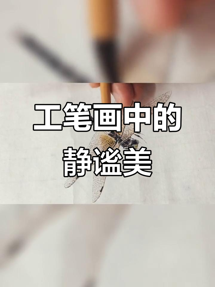 蜻蜓鸡冠花与工笔草虫的国画之美