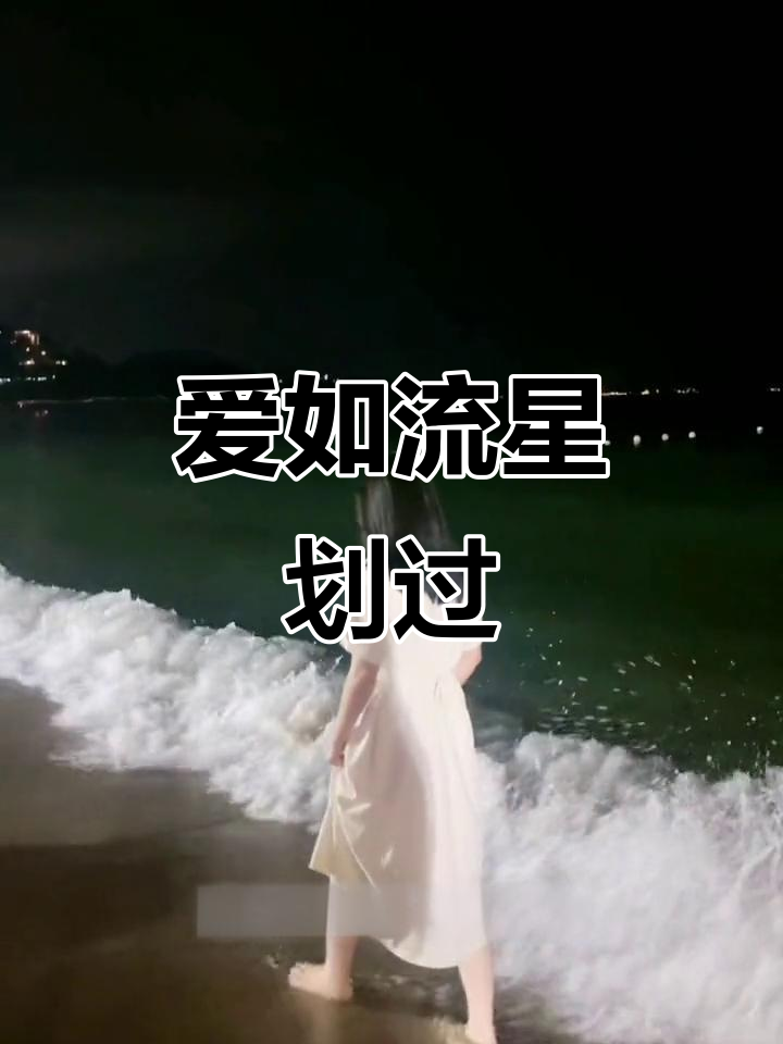 有些相遇注定短暂,就像海鸟与鱼的错爱